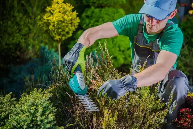 landscaping services Matamoras